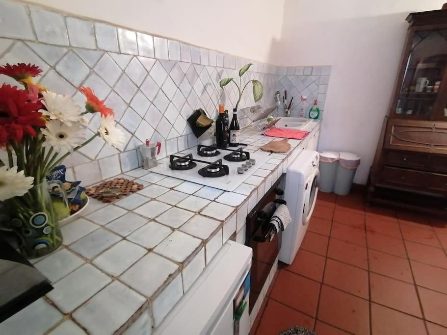 La Tua Casa A Trastevere 罗马 外观 照片